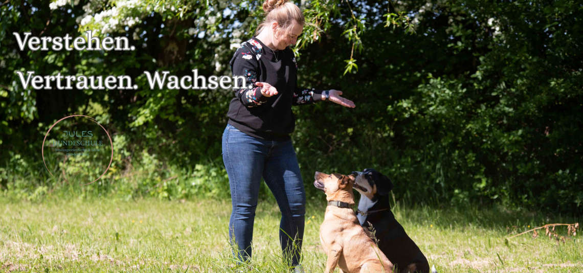 Verhaltensberatung & Einzeltraining