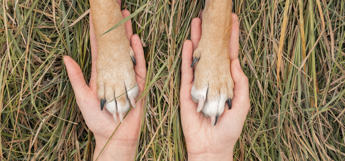 Social Walk - Ruhe bewahren, auch wenn´s spannend wird