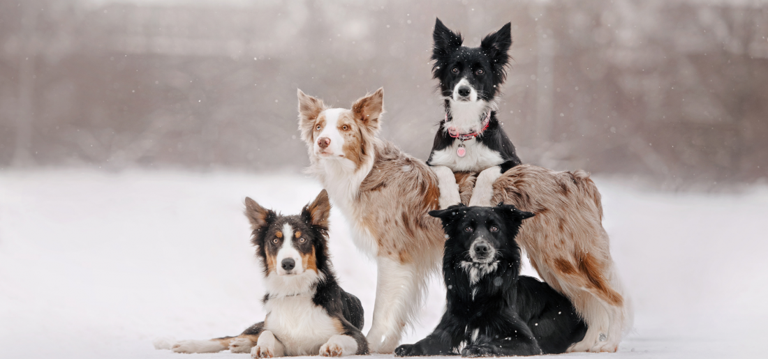 Social Walk - Gemeinsam unterwegs - als Team