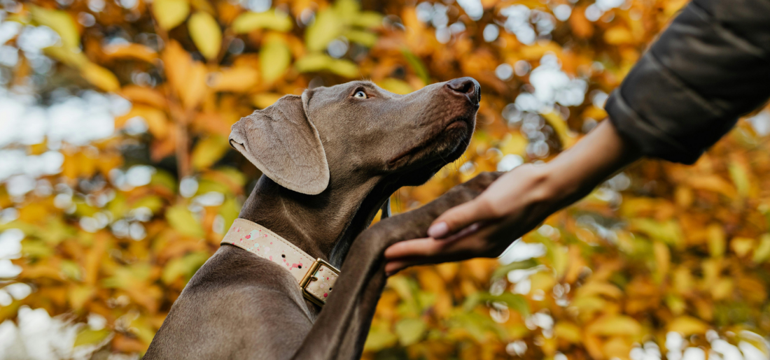 Alltag mit Herz - Monatskurs